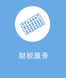 财税服务